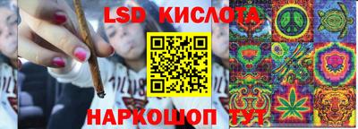 мяу мяу мука Ярославль