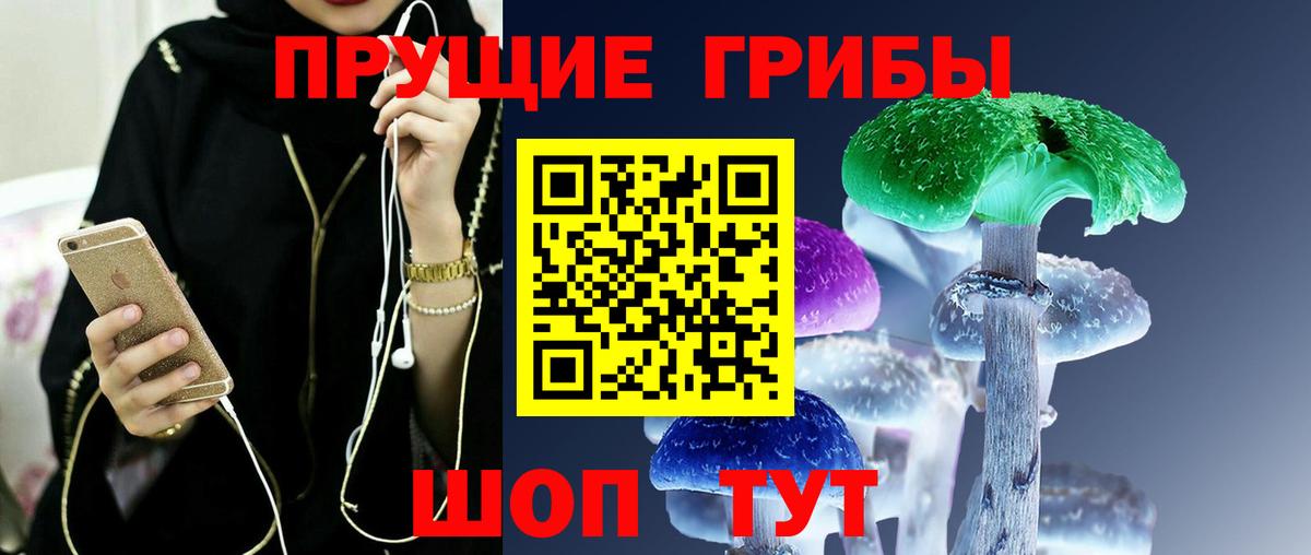 Анжеро-Судженск  Галлюциногенные грибы Magic Shrooms  Вход с VPN 